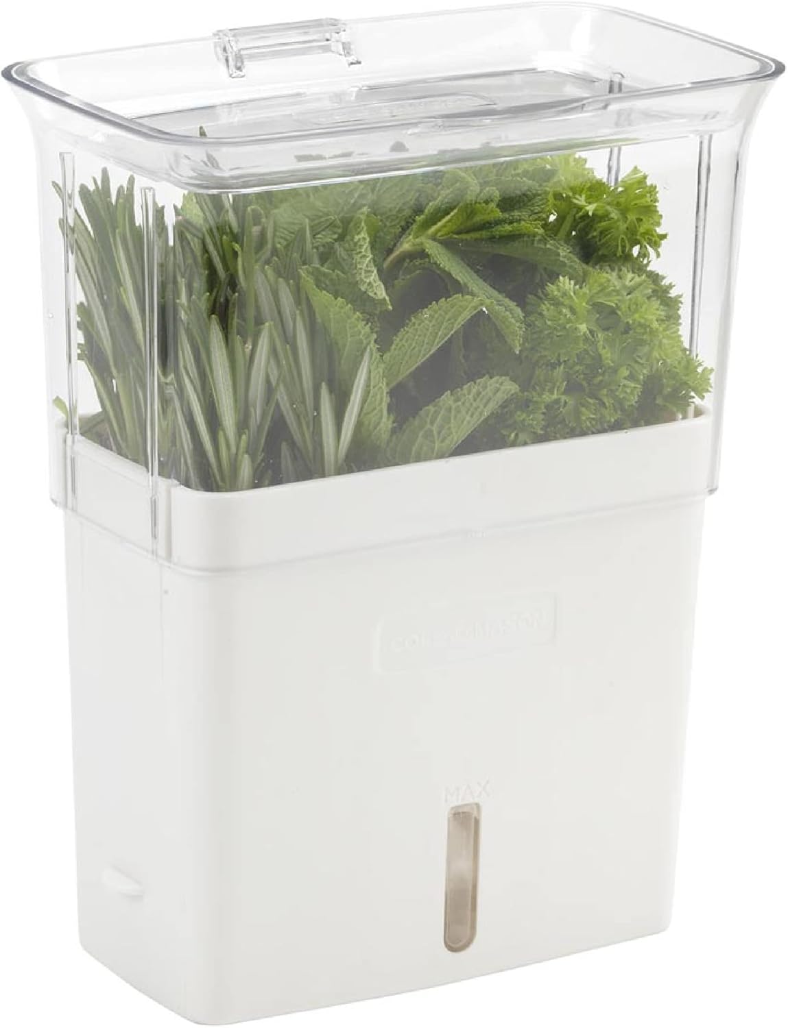 fresh herb keeper