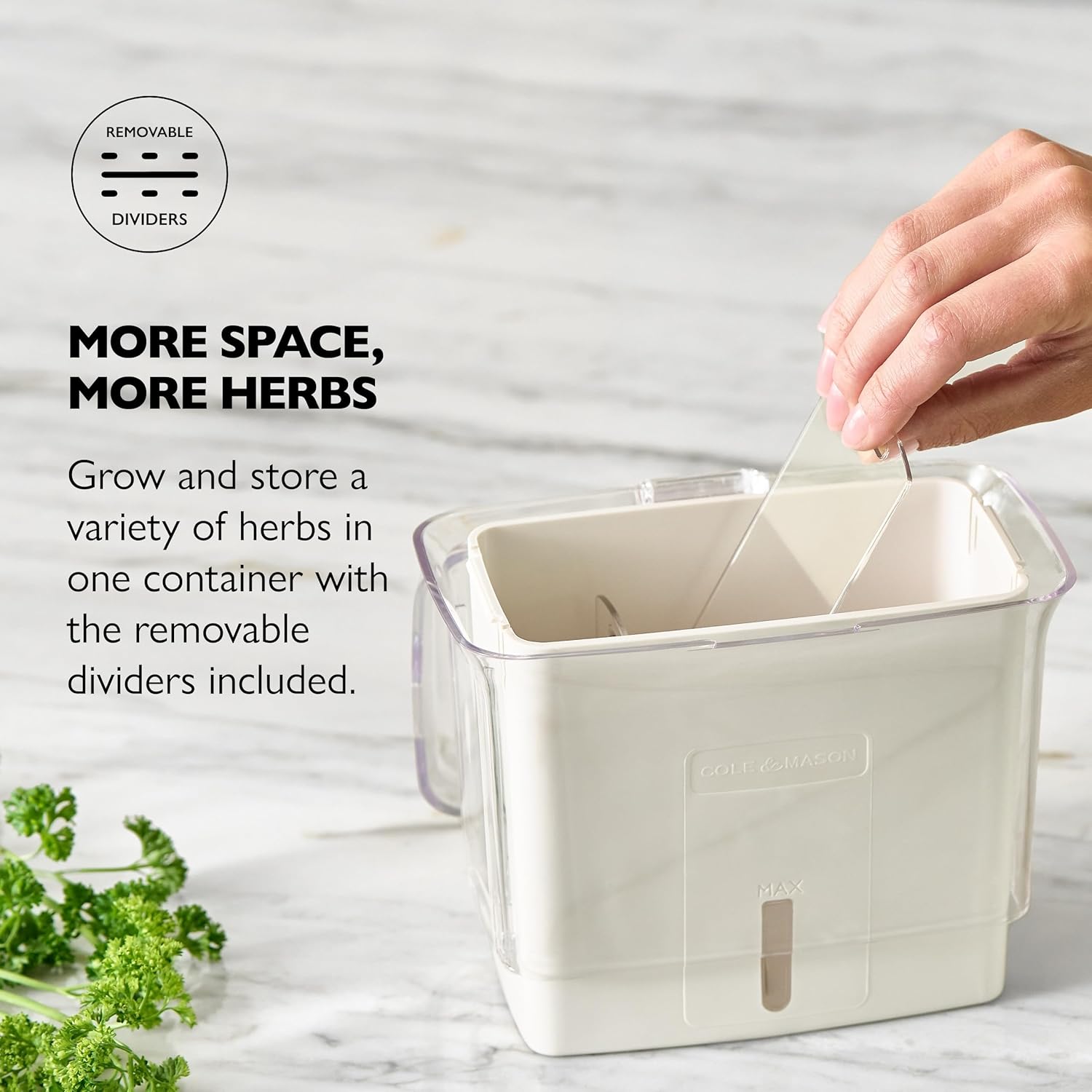 fresh herb keeper