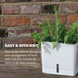 fresh herb keeper