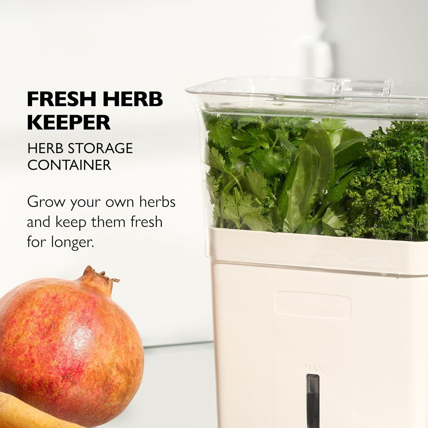 fresh herb keeper