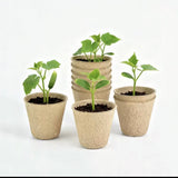 Plant/ gardening tool