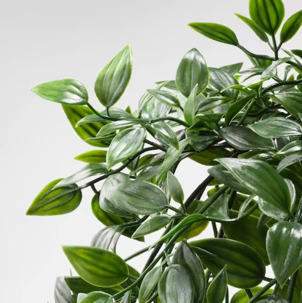 falling plants