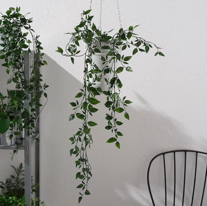 falling plants