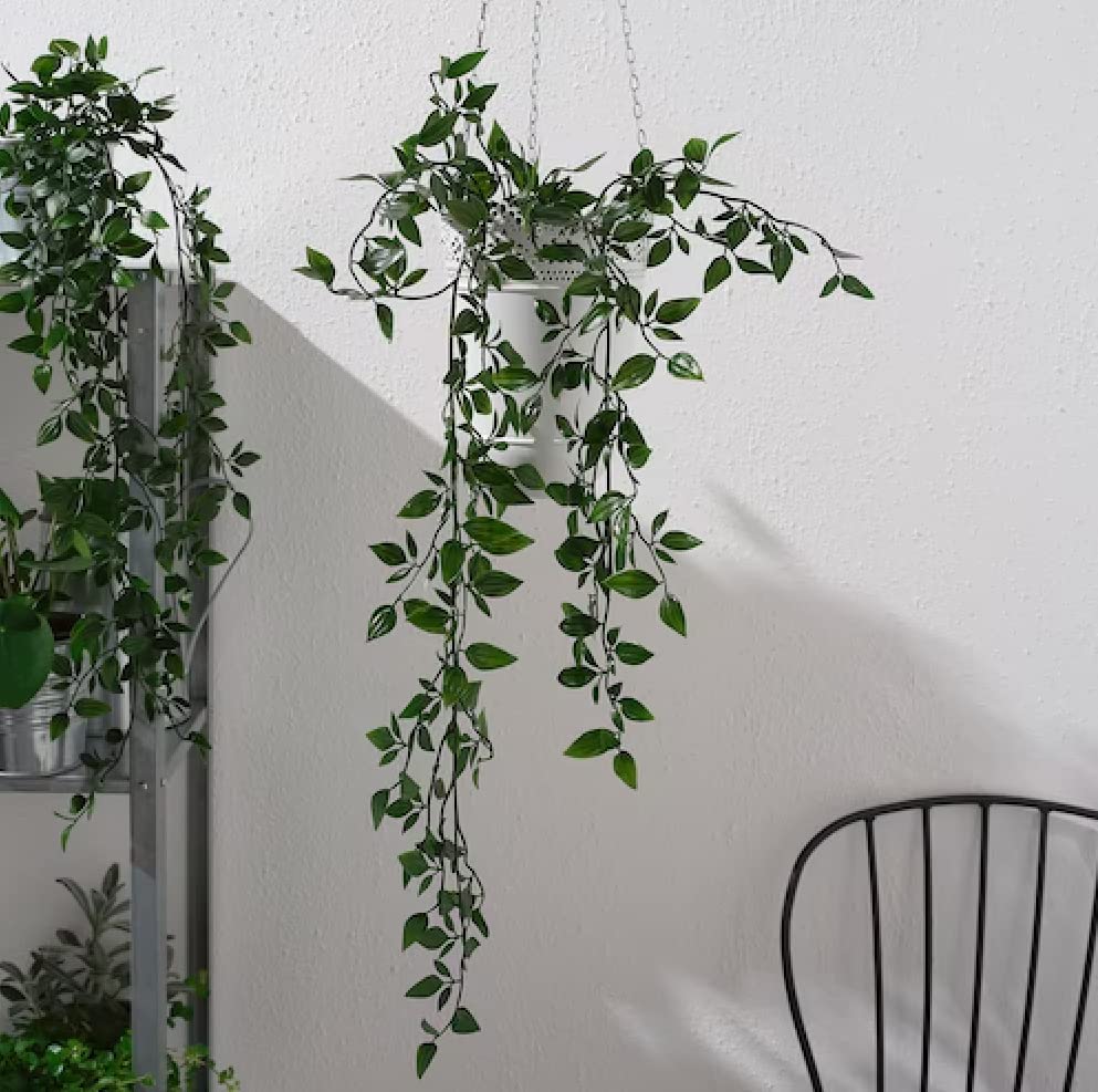 falling plants