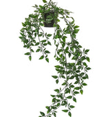 falling plants