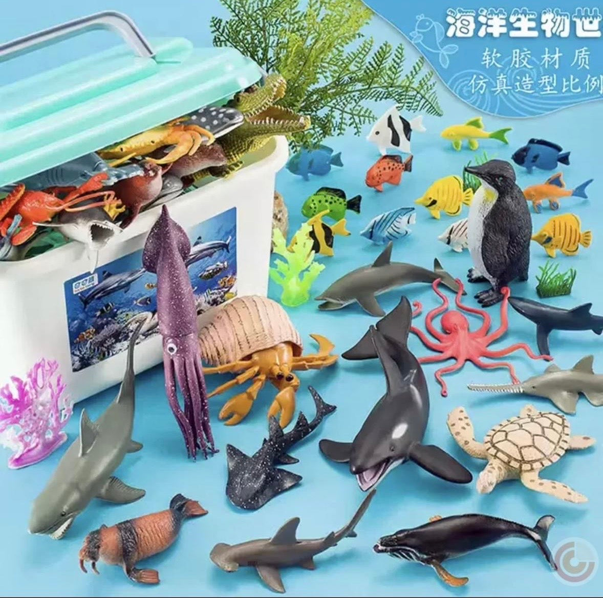 Sea-animal